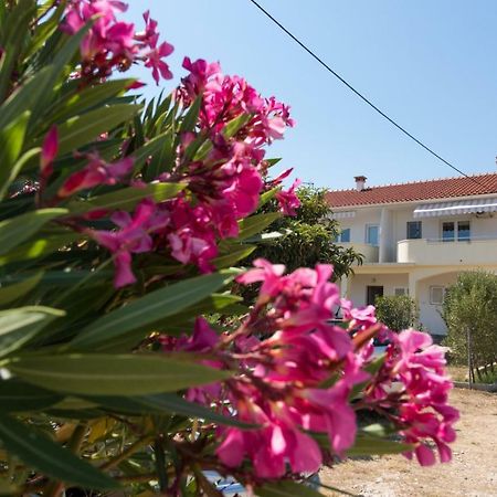 Apartments Maćo Petrčane Zewnętrze zdjęcie